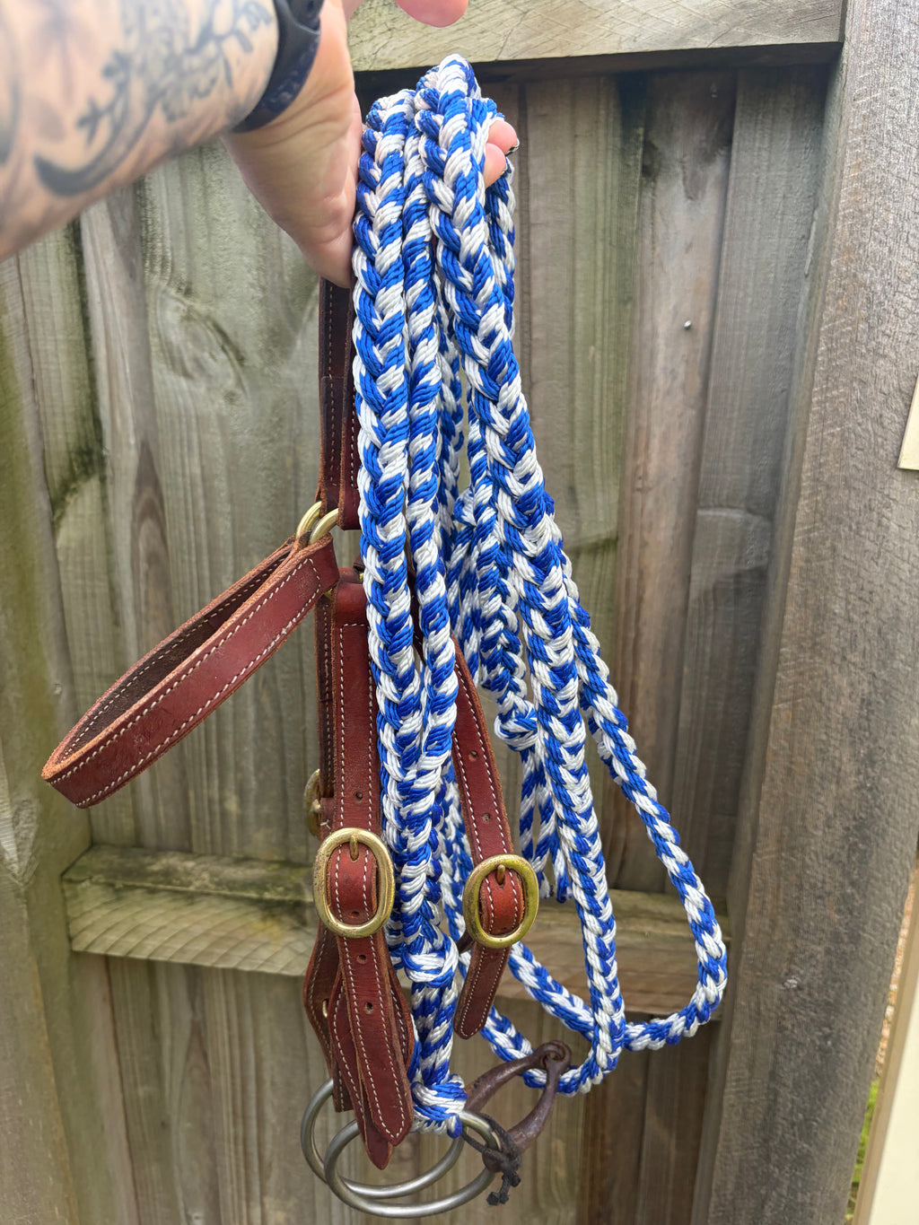 Blue Nylon Reins 7 Ft