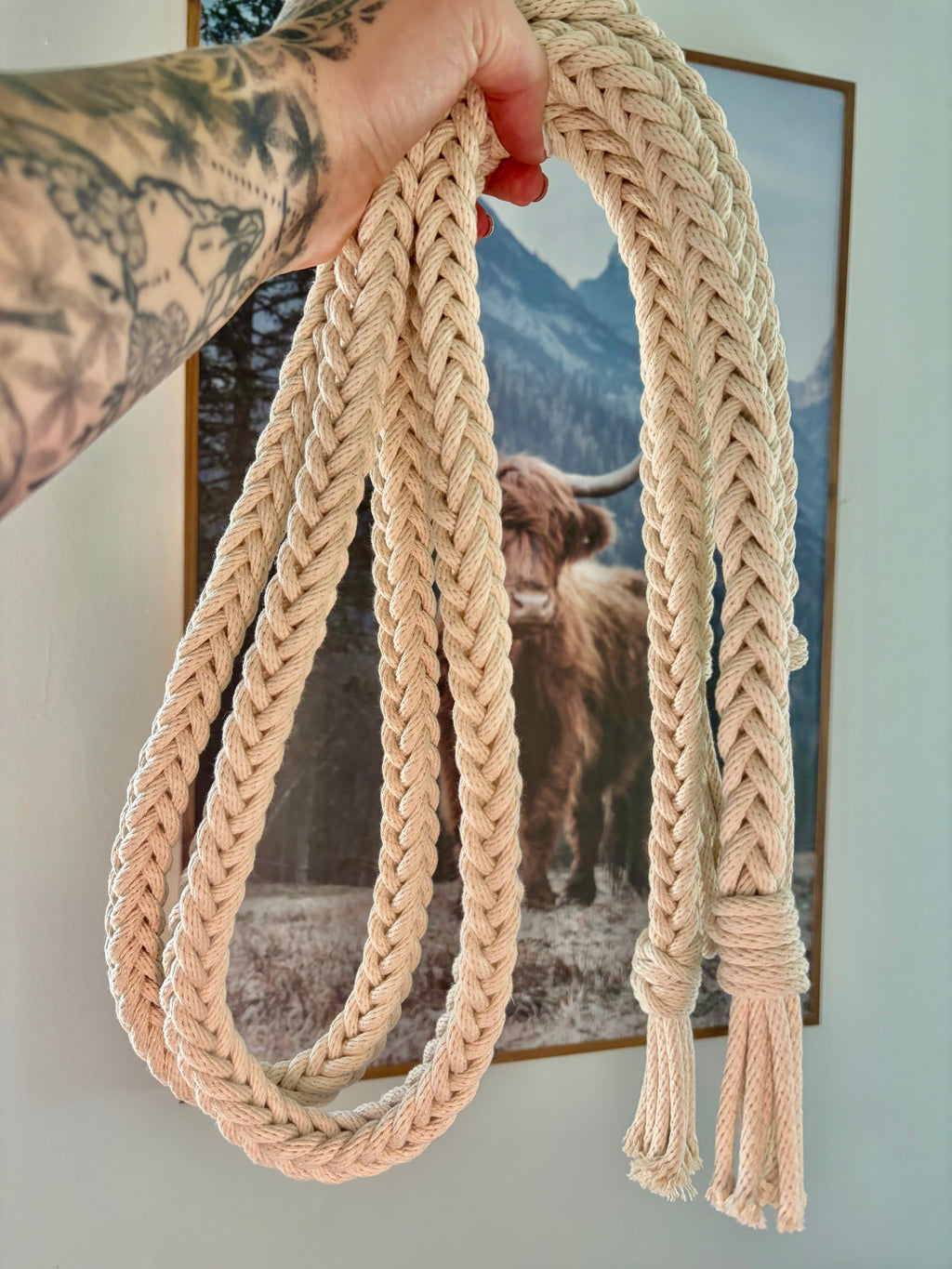 Square Braid Reins
