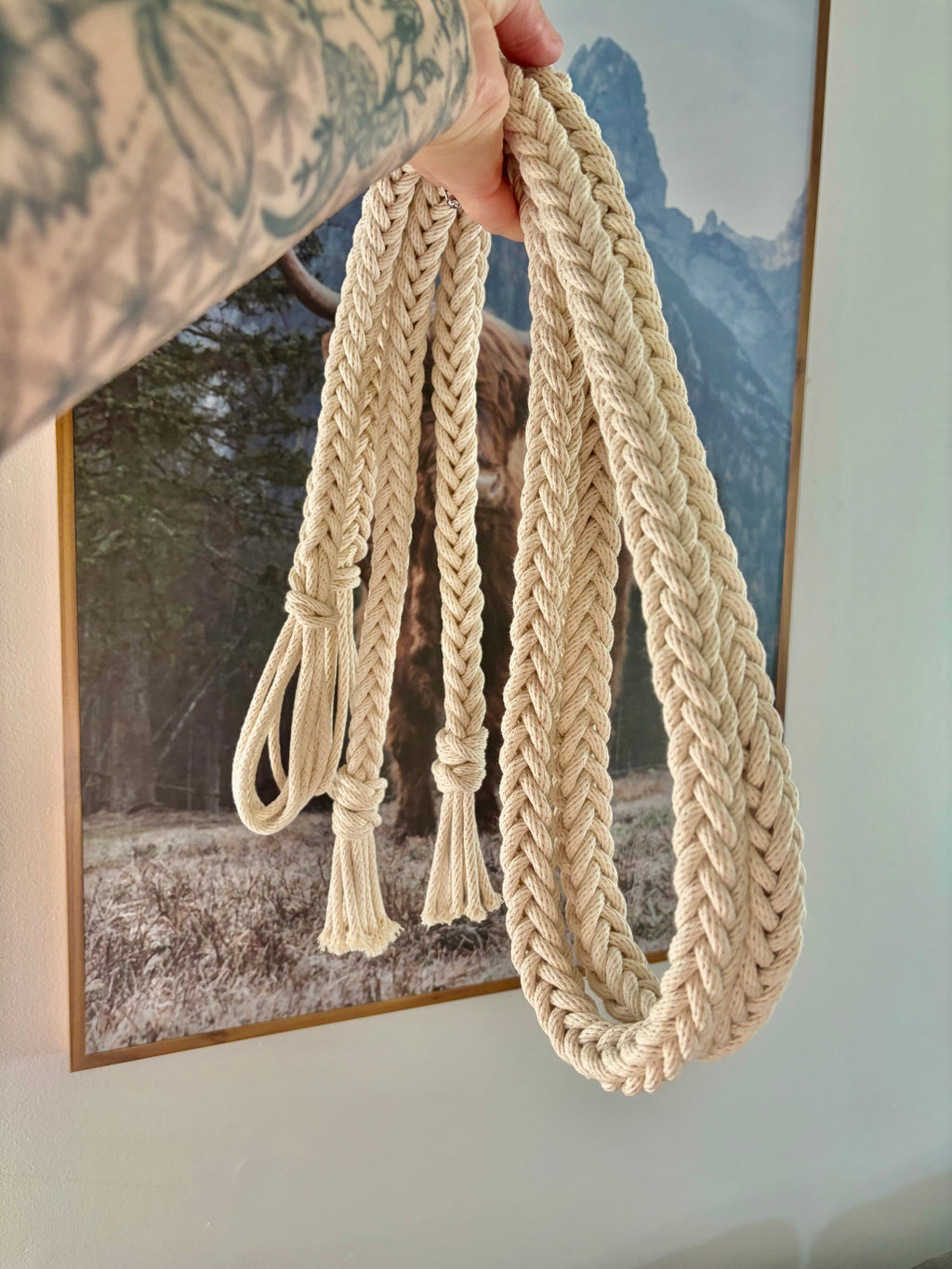 Square Braid Reins