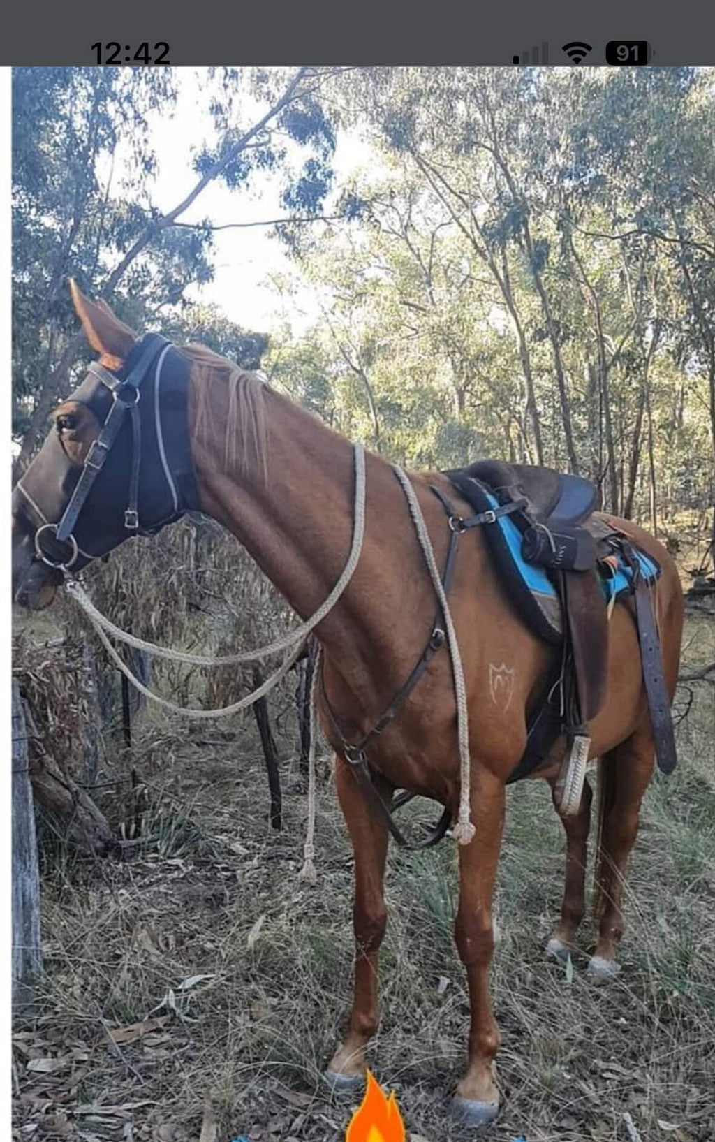 Cotton Reins - Looped