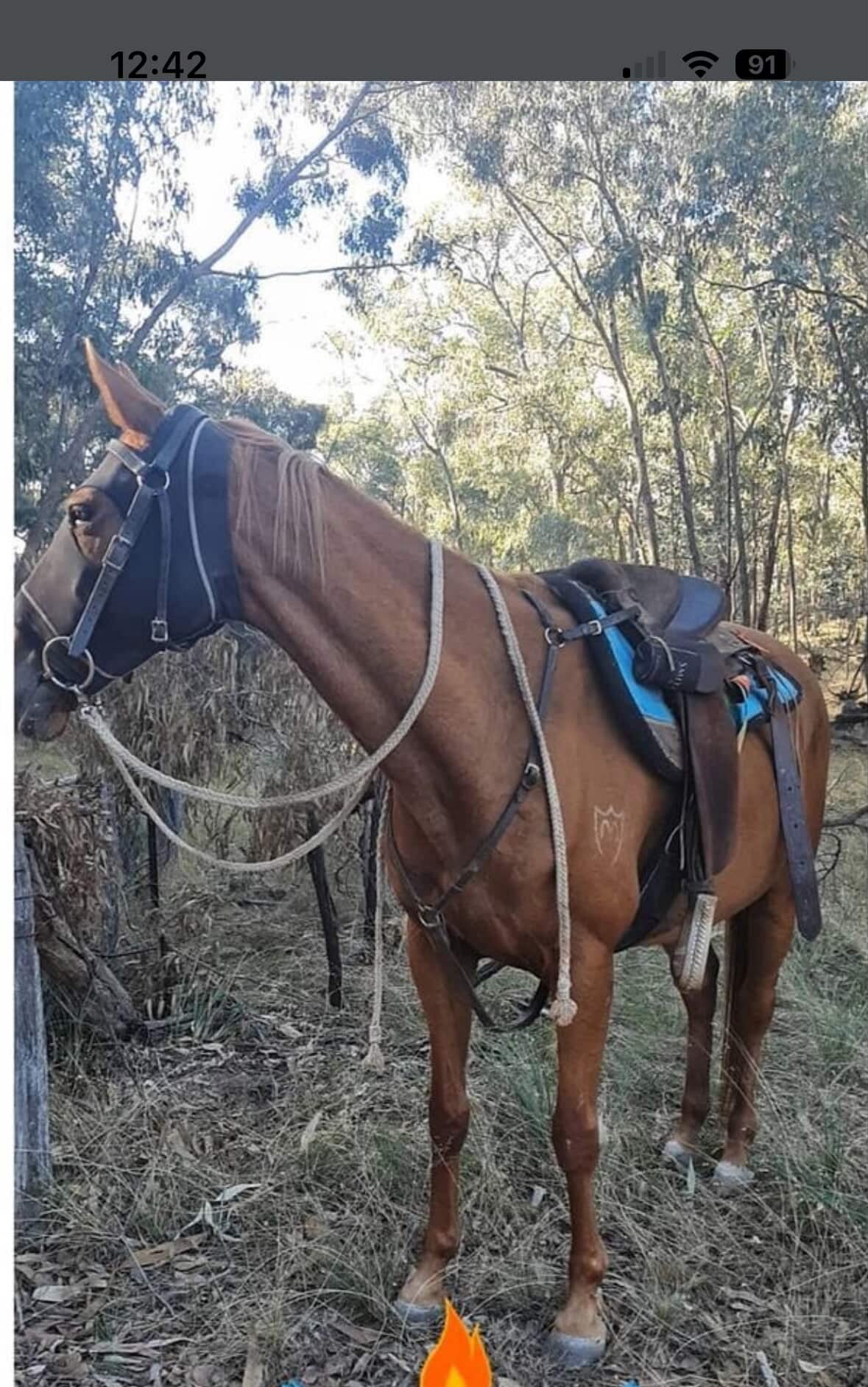Cotton Reins - Looped