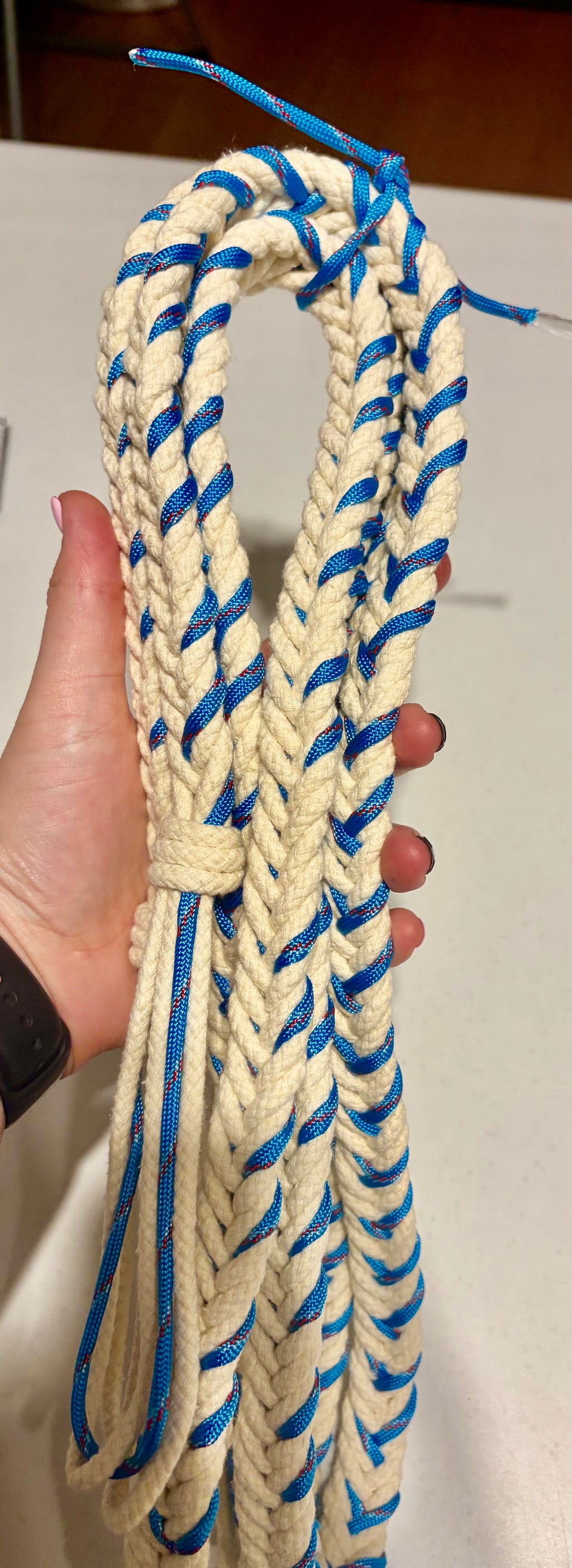 Colour Reins Pre Order