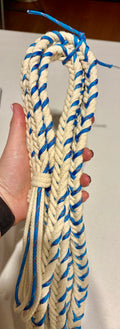 Colour Reins Pre Order