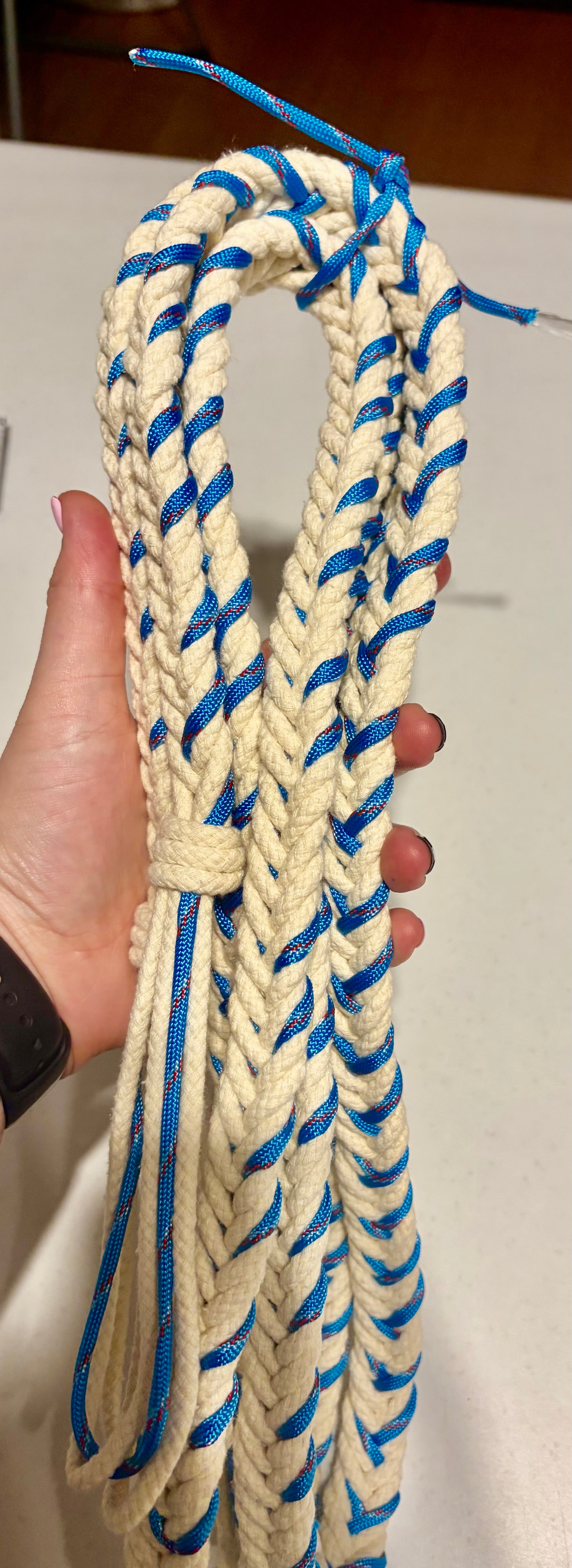 Colour Reins Pre Order