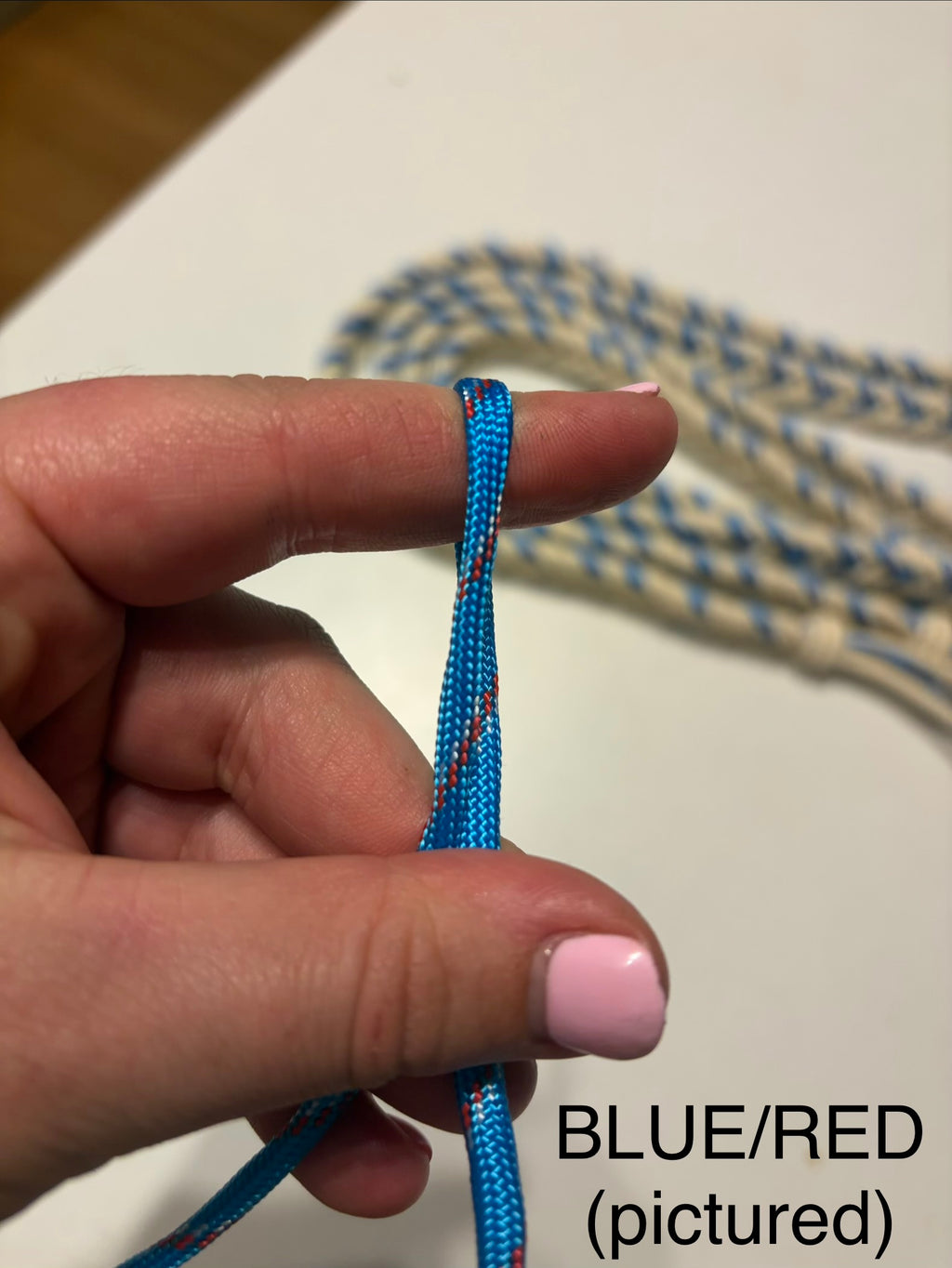 Colour Reins Pre Order