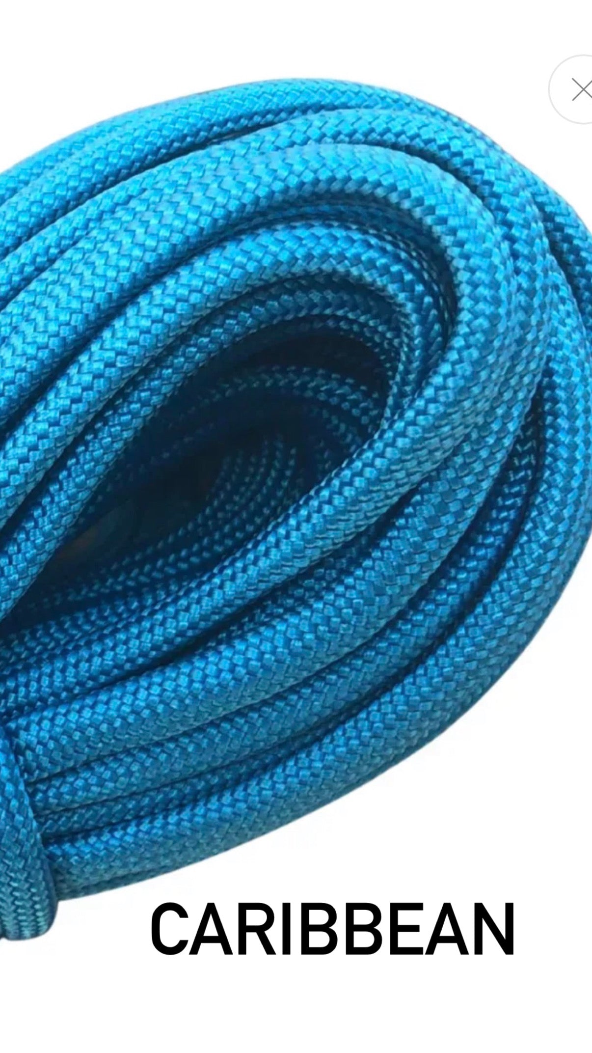 Colour Reins Pre Order