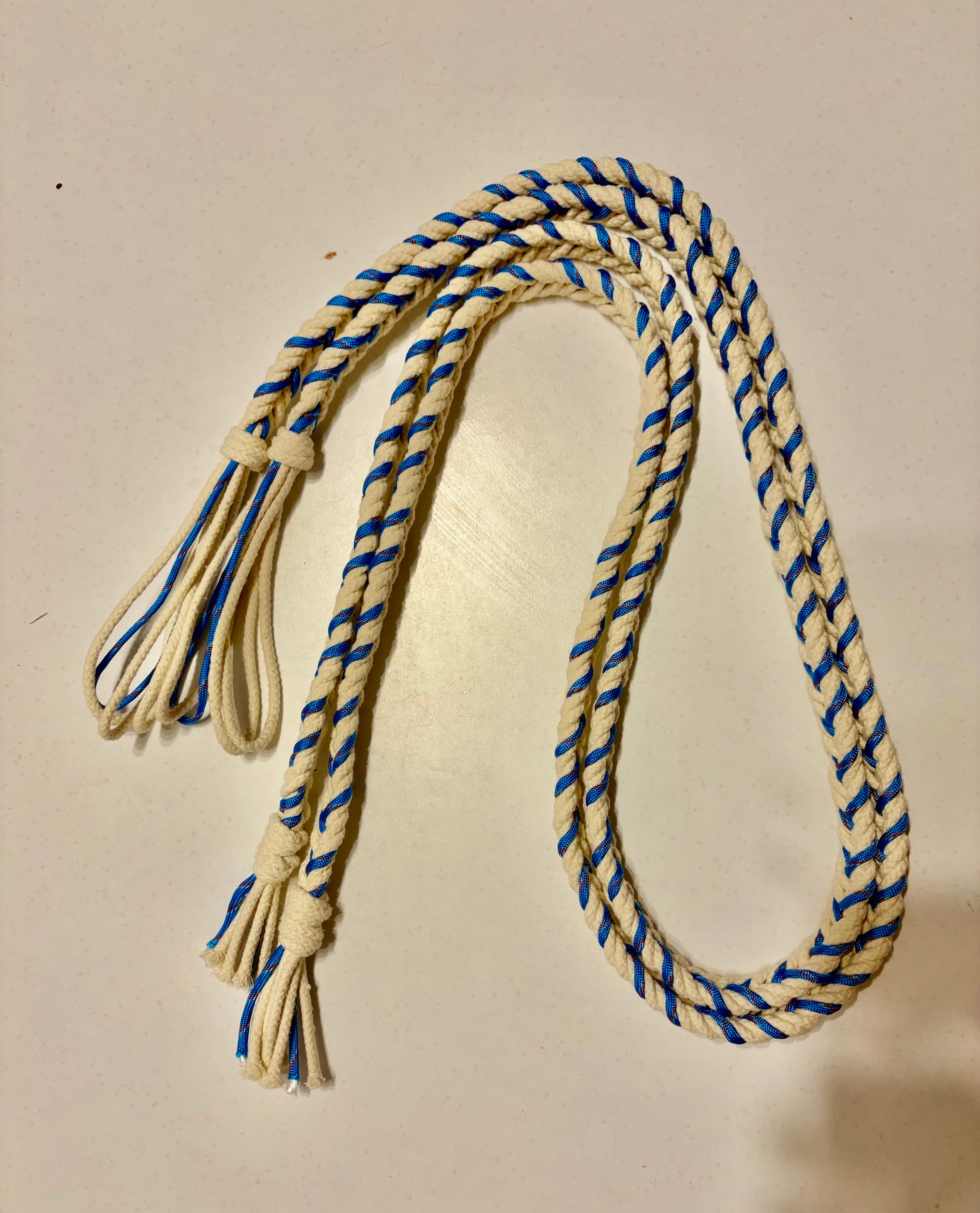Colour Reins Pre Order