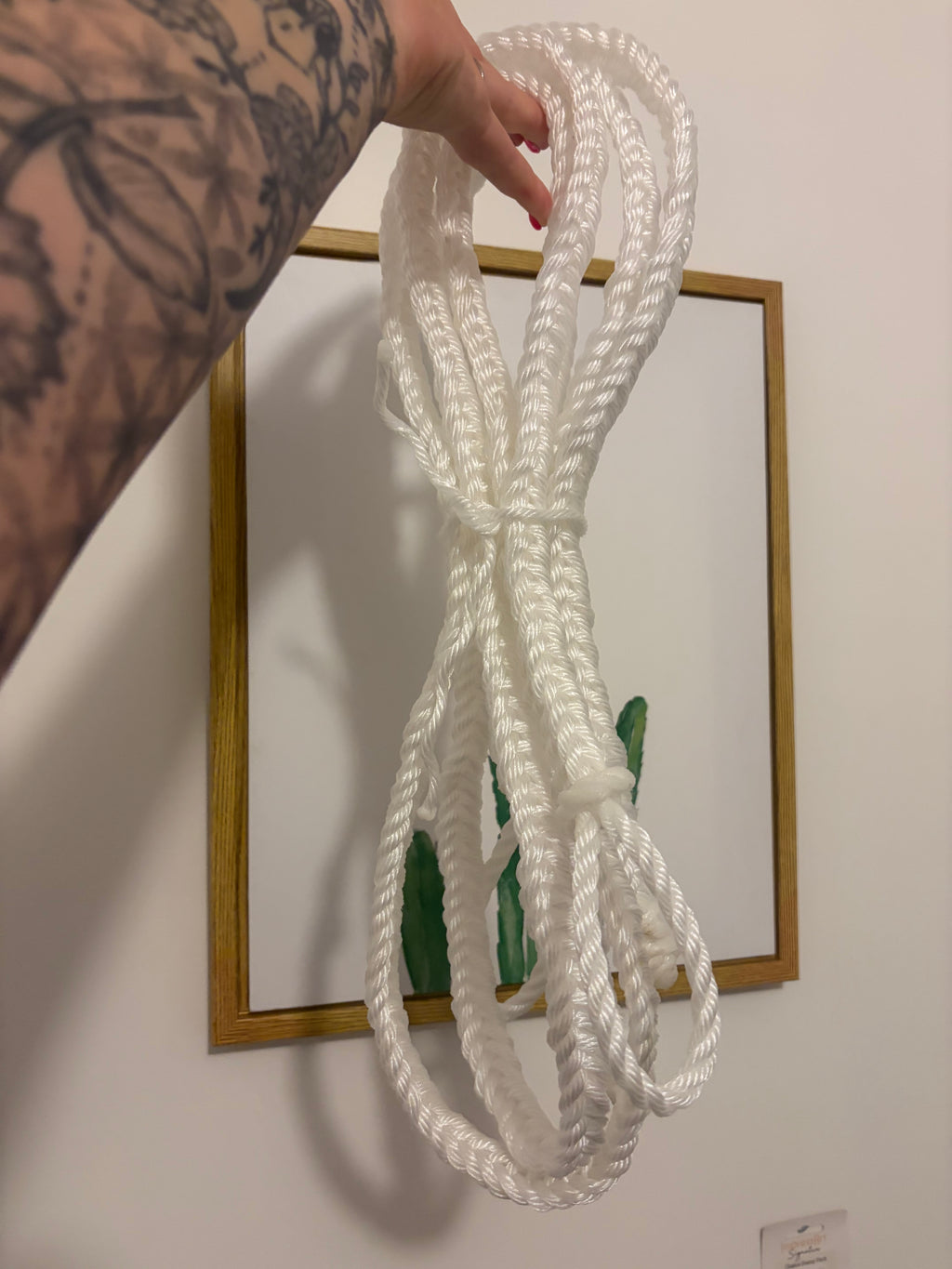 Silver Rope Campdraft Reins