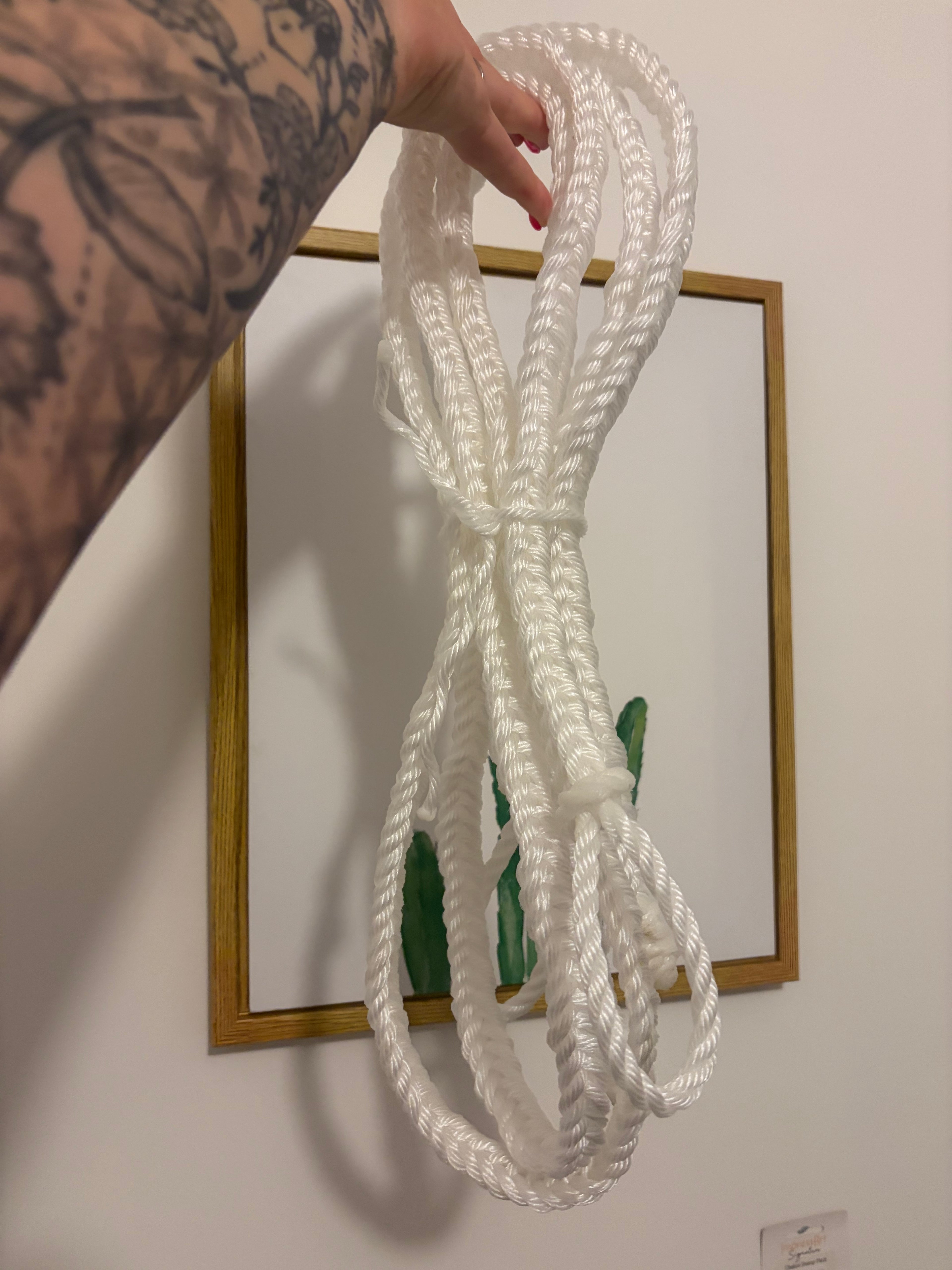 Silver Rope Campdraft Reins