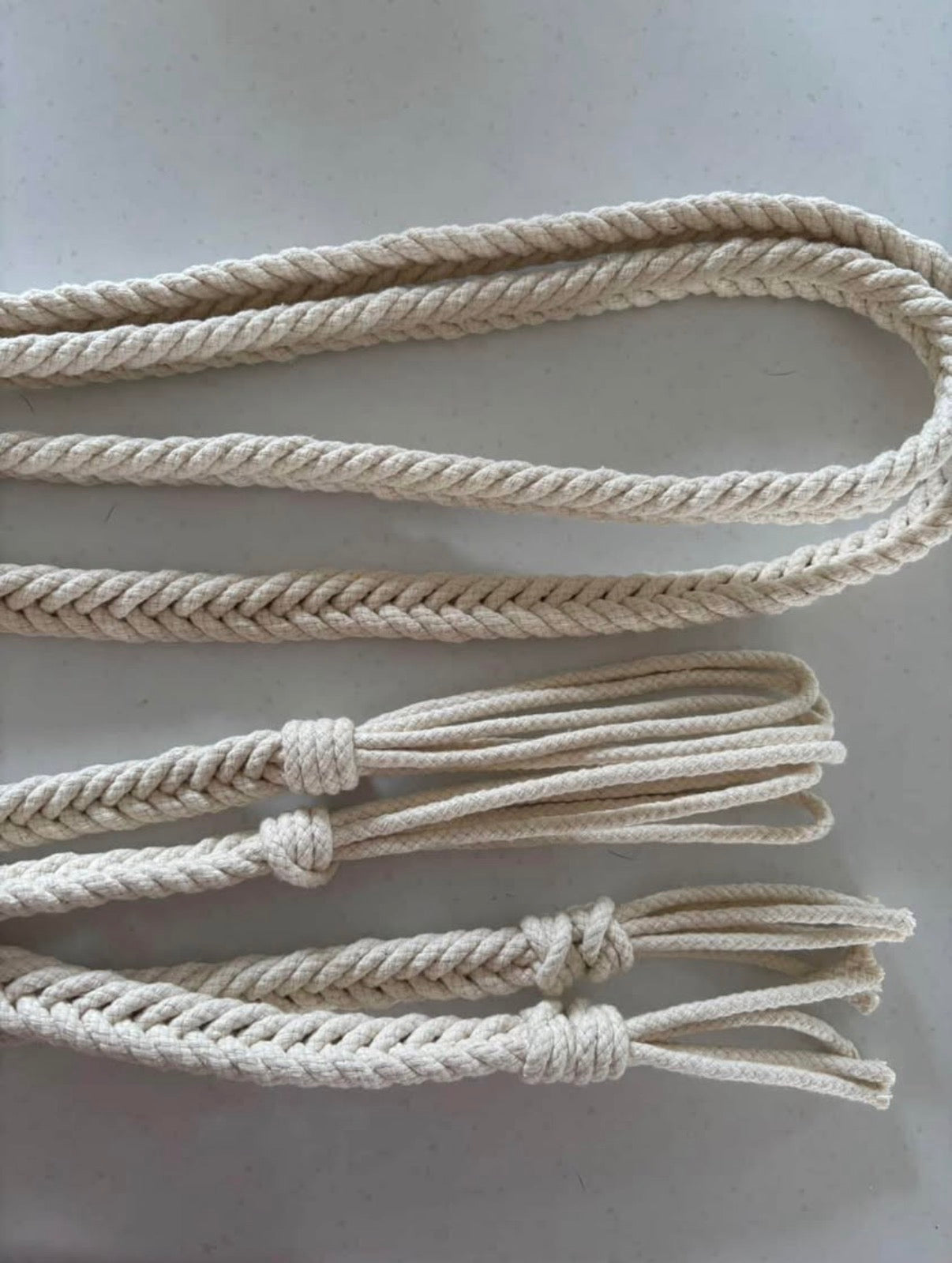 Colour Reins Pre Order