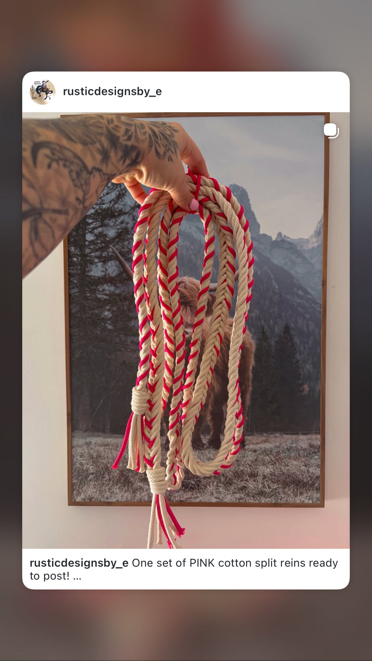 Pink Cotton Reins 6 Ft