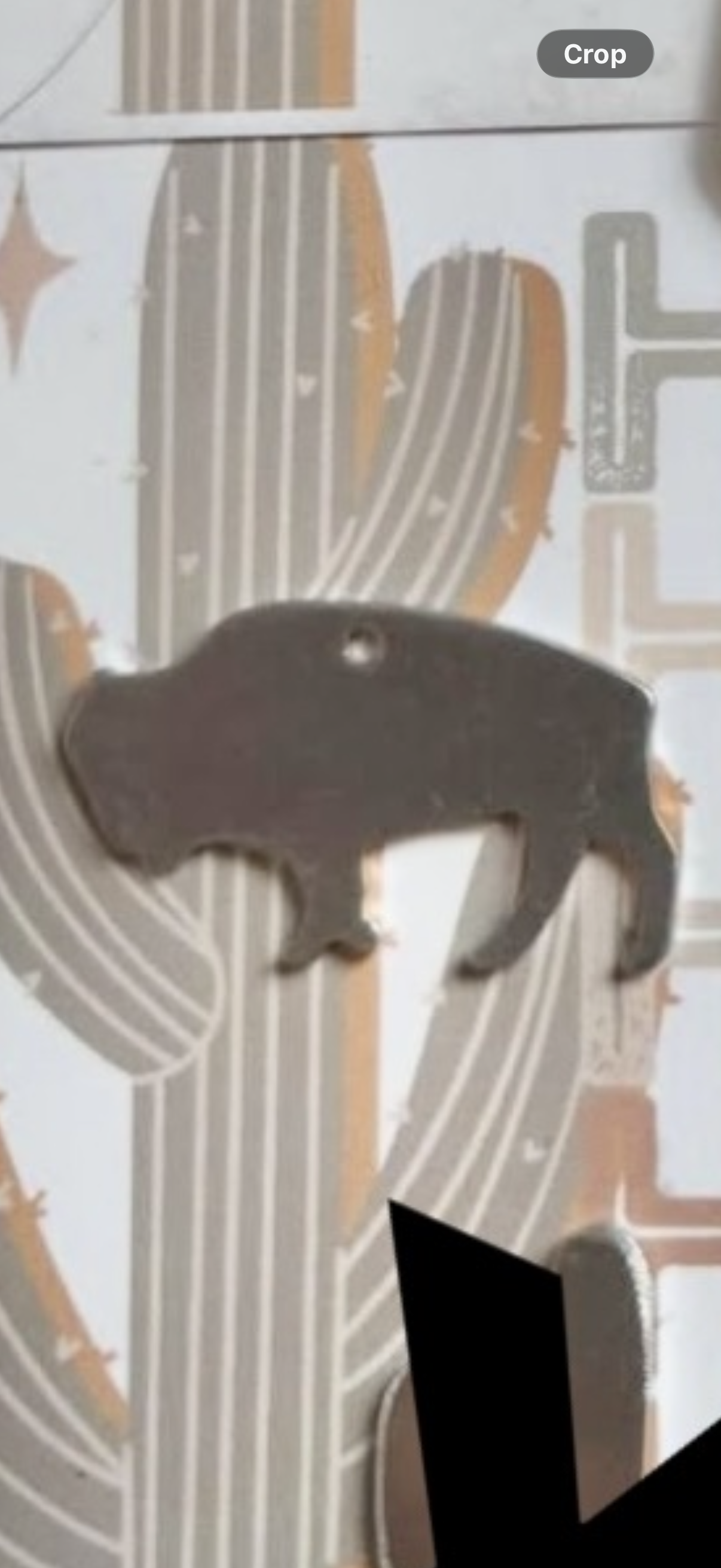 Buffalo Small
