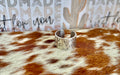 Western Wide Cuff Ring